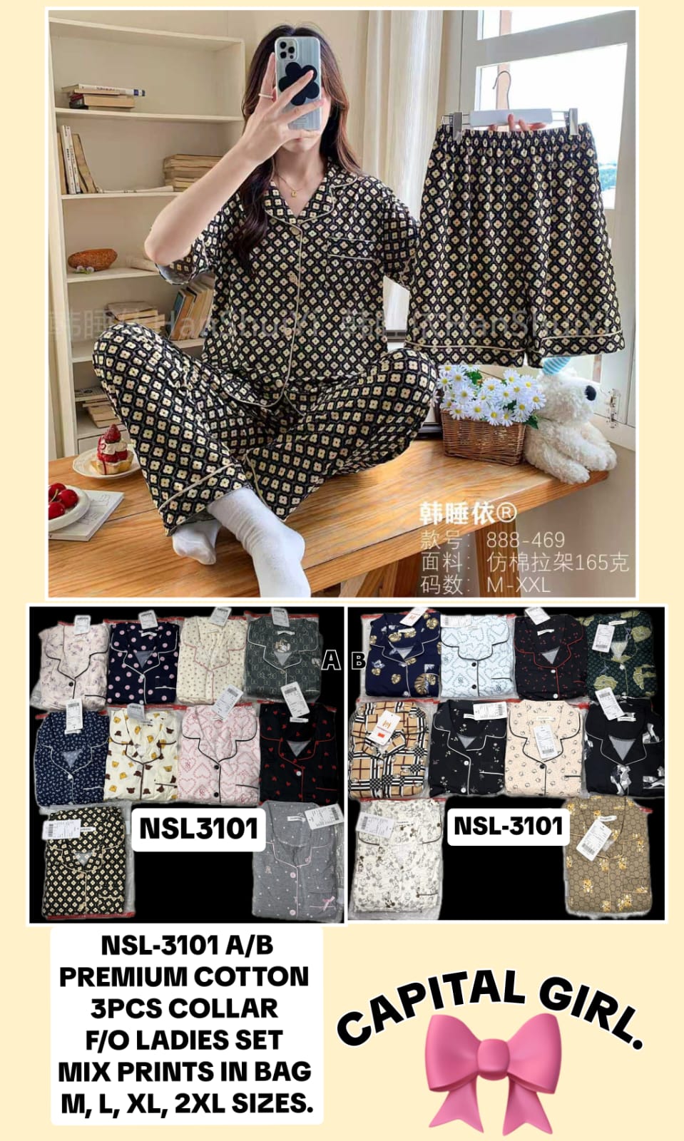 NSL 3101 A/B
