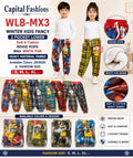 WLB MX3